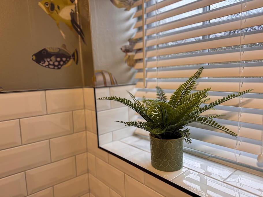 Beautiful, Relaxing Home In Central סולטייר מראה חיצוני תמונה